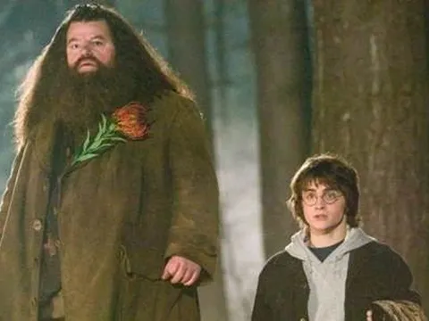 Những câu nói “ấm lòng” trong “Harry Potter và căn phòng bí mật”: Harry hết lòng vì bạn bè, thầy Dumbledore luôn sáng suốt