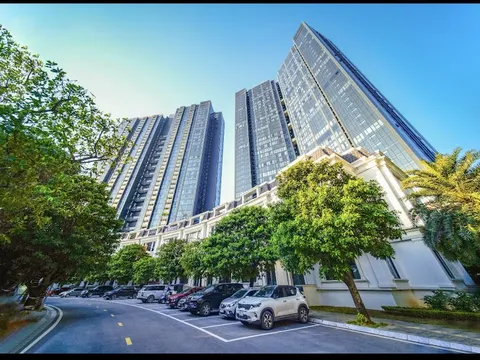 Không gian “nhà Sunshine” bừng sức sống giữa mùa thu tuyệt đẹp