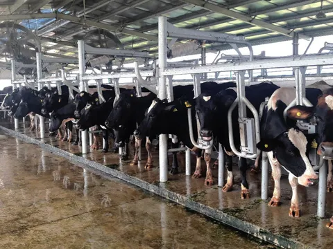 Quỹ DEG hoàn tất hợp tác tài trợ 17,5 triệu USD, Nova Consumer đẩy mạnh phát triển trang trại