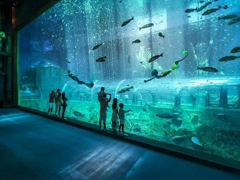 Combo kỳ nghỉ Vinpearl trọn gói xem EDM Creamfields đỉnh cao tại Phú Quốc