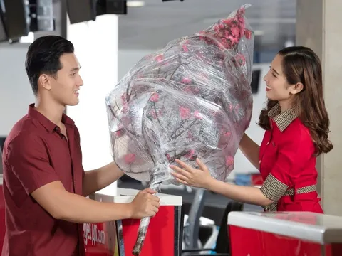 Mang Xuân về nhà, Vietjet vận chuyển mai, đào Tết 2023