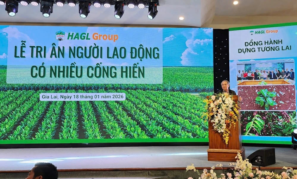 Hao tài tụ nghĩa