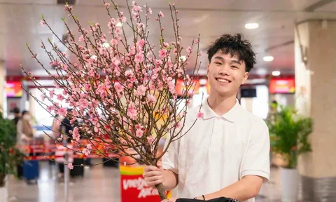 Vietjet mang sắc mai, đào theo những chuyến bay Xuân 2026