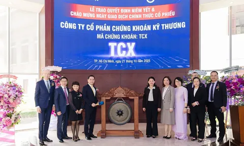 TCBS và nghịch lý quy mô: Vốn chủ hơn 44.000 tỷ nhưng mảng môi giới vẫn “lép vế”