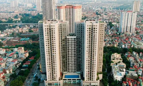 HANO-VID và bóng dáng ROX Group: Bị xử phạt vì "mập mờ" hàng loạt lô trái phiếu gia hạn