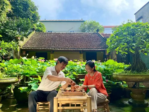 Vườn Sen “0 đồng” của chú Điệp – Hạnh của đất giữa đời thường