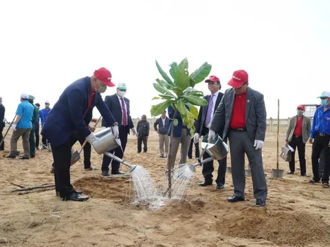 Vietjet đồng hành cùng Lễ phát động Tết trồng cây 2021